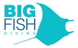 Big Fish Diving logo